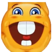 mimibienv
